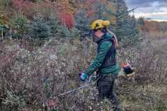 IMG-20231122-WA0004