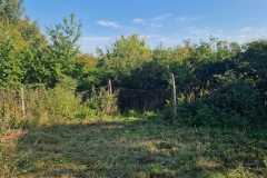 IMG-20231122-WA0006