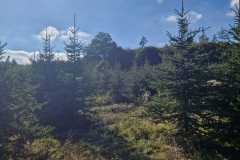 IMG-20231122-WA0007